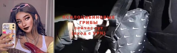 трава Гусев
