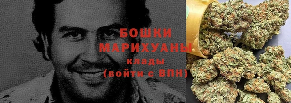 метадон Гусь-Хрустальный