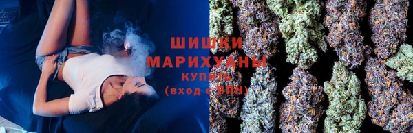метадон Гусь-Хрустальный
