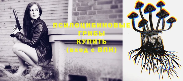 COCAINE Гусиноозёрск