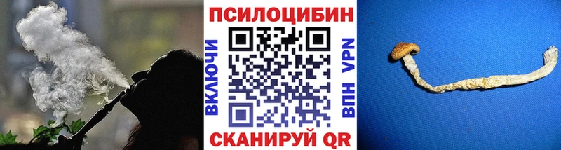 Псилоцибиновые грибы Psilocybe  Купить где  Баксан 